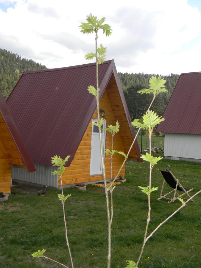 זבליאק Cottage Borje מראה חיצוני תמונה